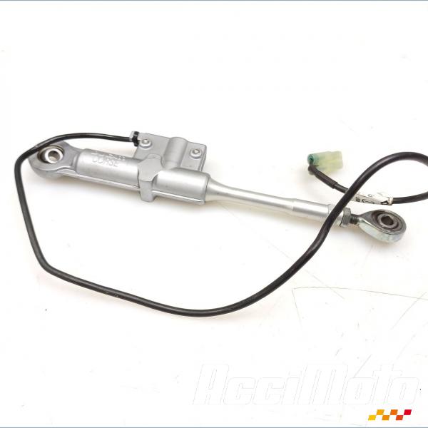 Pièce Moto Shifter DUCATI SUPERBIKE 848 EVO CORSE