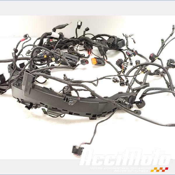 Part Motor bike Faisceau électrique (principal) BMW F900 XR 