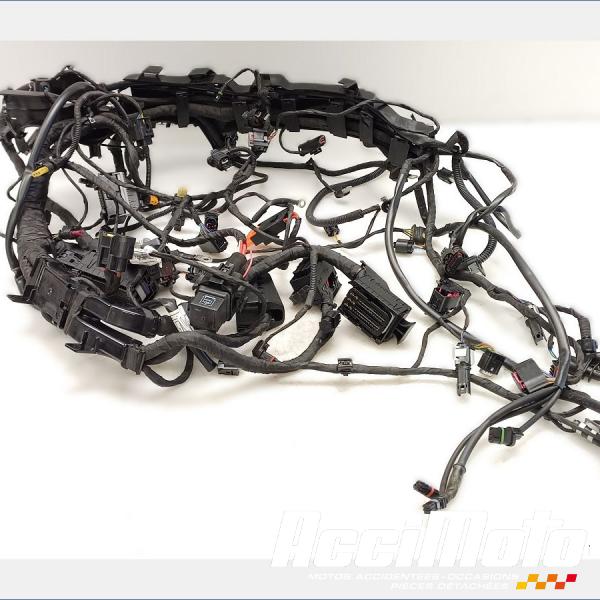 Part Motor bike Faisceau électrique (principal) BMW F900 XR 