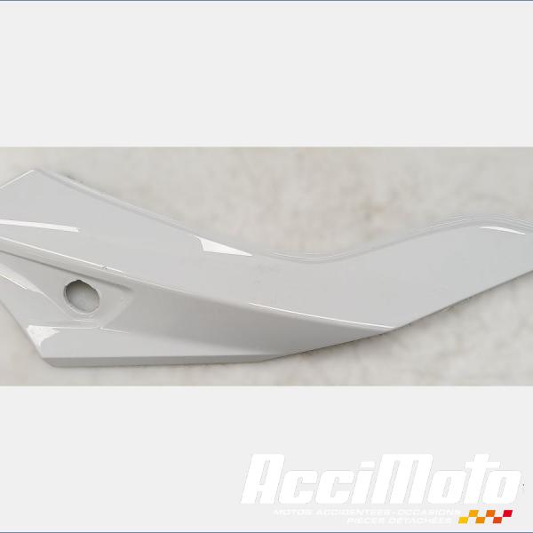 Pièce Moto Coque arrière (gauche) BMW F900 XR 