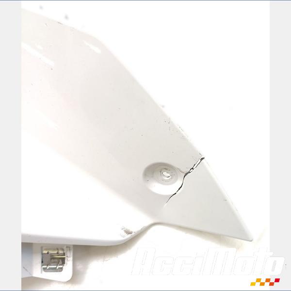 Pièce Moto Flanc de carénage avant (droit) BMW F900 XR 