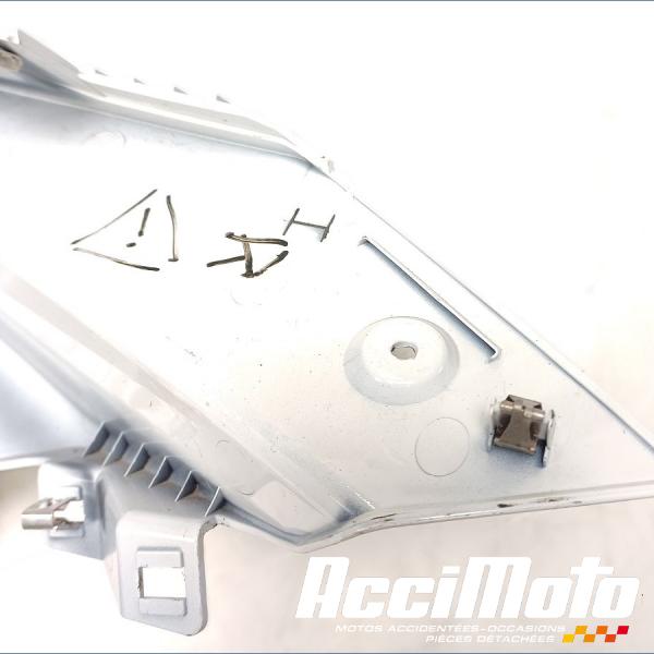 Pièce Moto Flanc de carénage avant (gauche) BMW F900 XR 