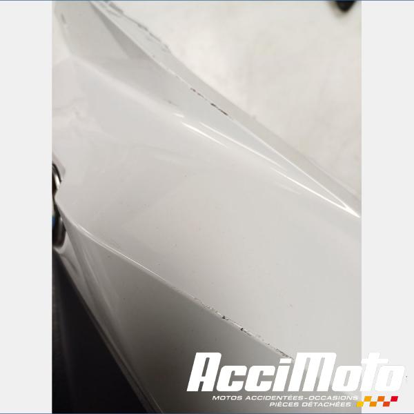 Pièce Moto Flanc de carénage avant (gauche) BMW F900 XR 