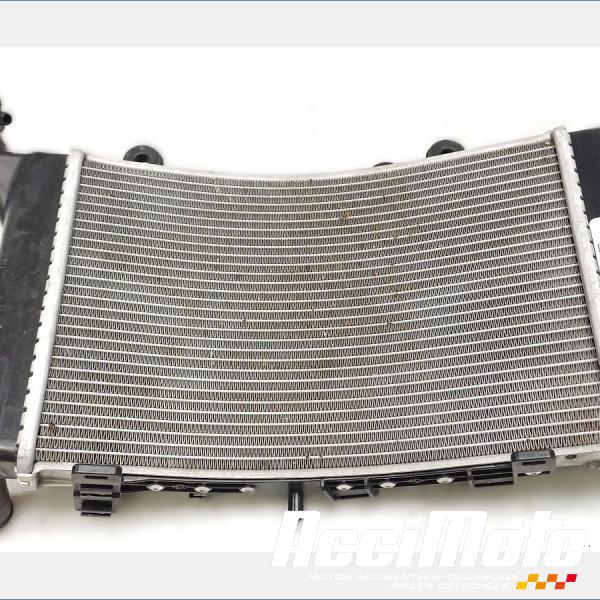 Pièce Moto Radiateur de refroidissement BMW F900 XR 