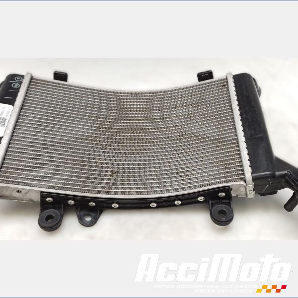 Pièce Moto Radiateur de refroidissement BMW F900 XR 