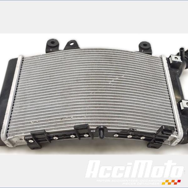 Pièce Moto Radiateur de refroidissement BMW F900 XR 