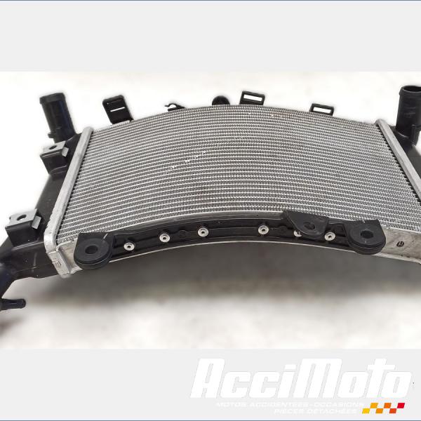 Pièce Moto Radiateur de refroidissement BMW F900 XR 