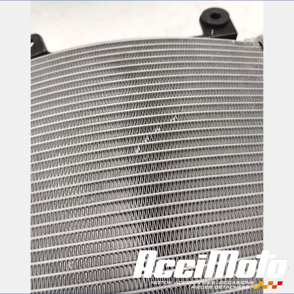 Pièce Moto Radiateur de refroidissement BMW F900 XR 