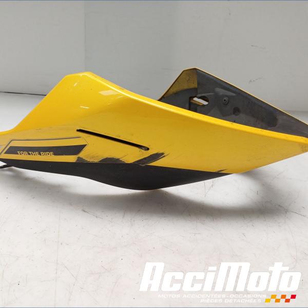 Pièce Moto Sabot TRIUMPH STREET TRIPLE 765 RS