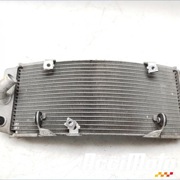 Pièce Moto Radiateur de refroidissement YAMAHA TMAX XP500