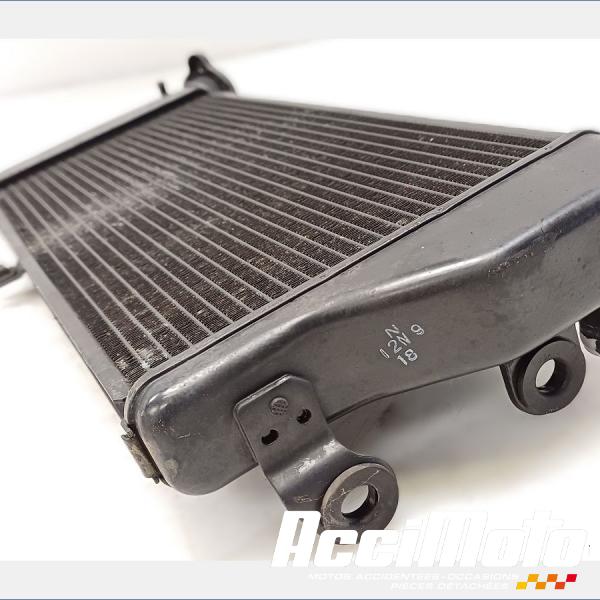 Part Motor bike Radiateur de refroidissement KAWASAKI ER6 N