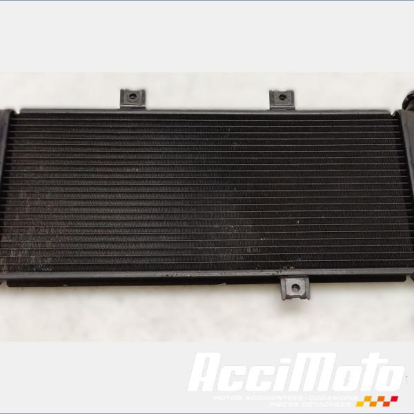 Part Motor bike Radiateur de refroidissement KAWASAKI ER6 N