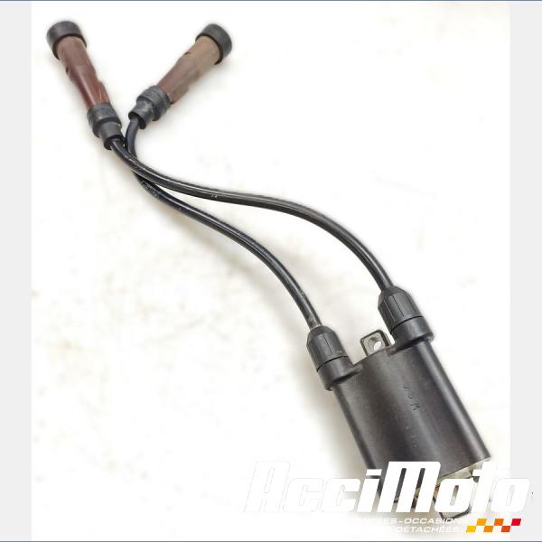 Pièce Moto Bobine d'allumage TRIUMPH BONNEVILLE 865 T100