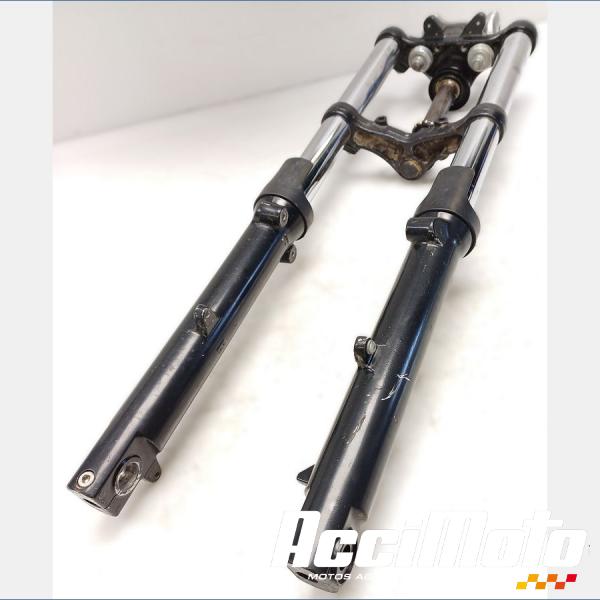 Part Motor bike Fourche complète TRIUMPH BONNEVILLE 865 T100