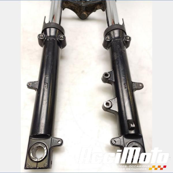 Part Motor bike Fourche complète TRIUMPH BONNEVILLE 865 T100
