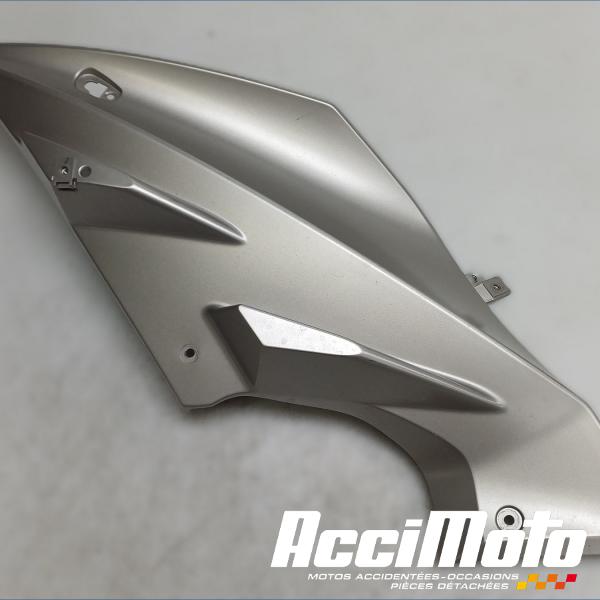 Pièce Moto Flanc de carénage avant (gauche) YAMAHA YZF-R 125