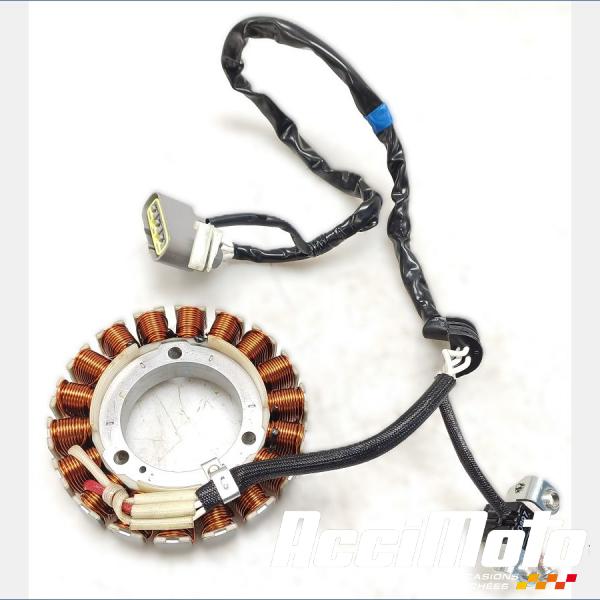 Pièce Moto Stator d'alternateur YAMAHA XTZ TENERE 700