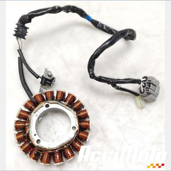 Pièce Moto Stator d'alternateur YAMAHA XTZ TENERE 700