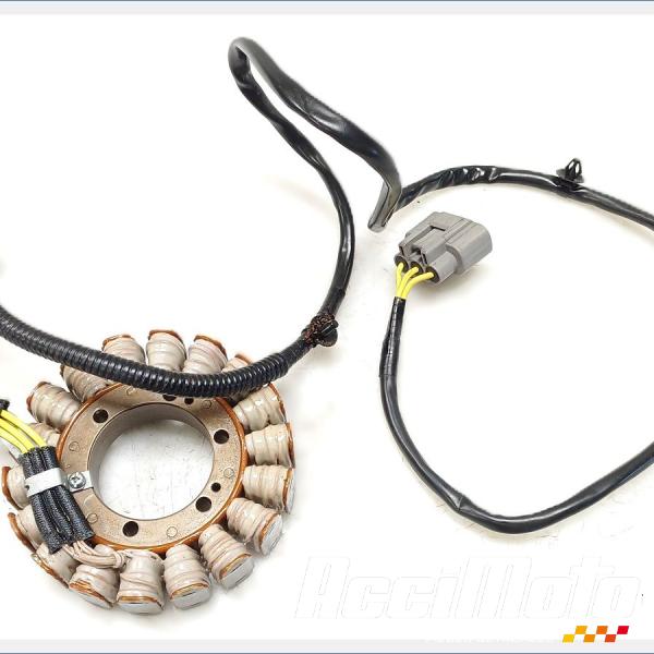 Pièce Moto Stator d'alternateur HONDA NT 1100