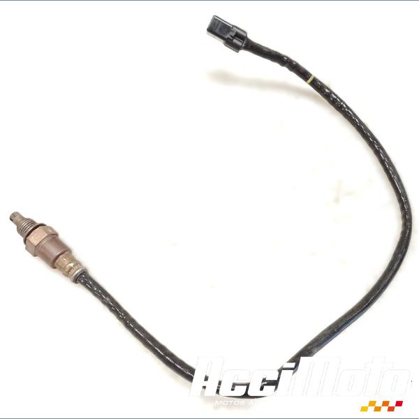 Pièce Moto Sonde lambda YAMAHA R1 YZF1000