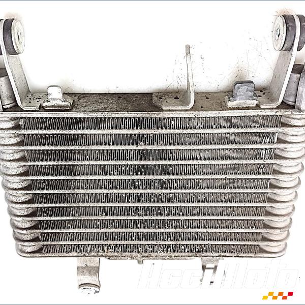 Pièce Moto Radiateur d'huile YAMAHA R1 YZF1000