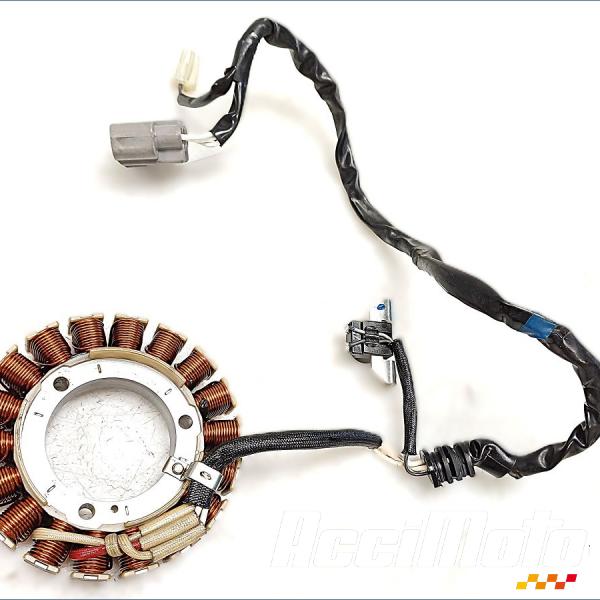 Pièce Moto Stator d'alternateur YAMAHA TRACER 700