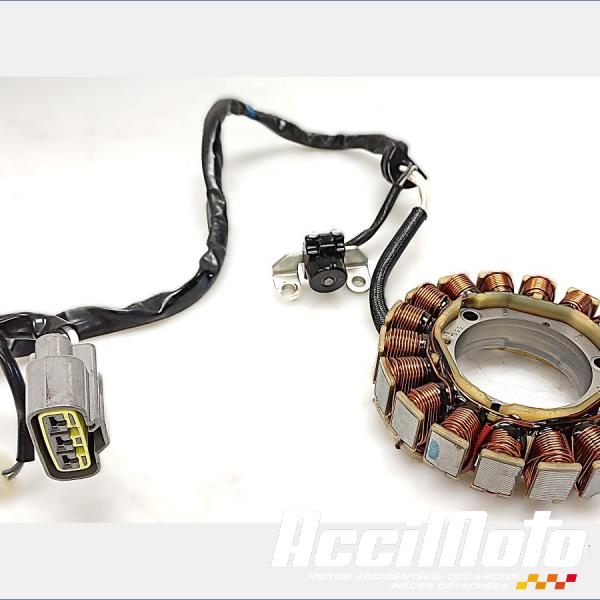 Pièce Moto Stator d'alternateur YAMAHA TRACER 700