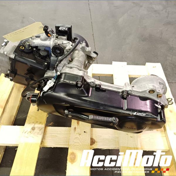 Pièce Moto Moteur PEUGEOT KISBEE 50