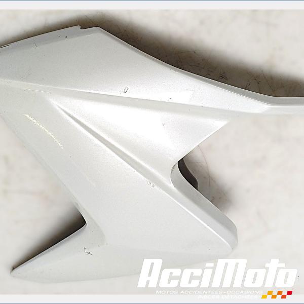Pièce Moto écope de radiateur (gauche) HONDA CB1000R