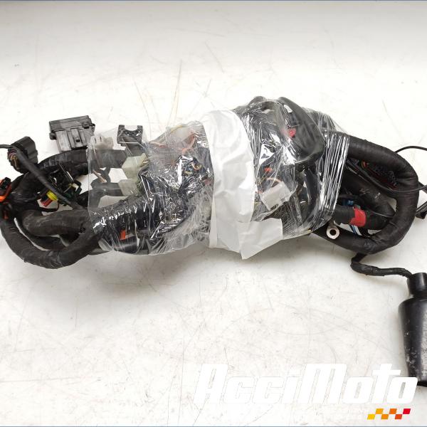 Part Motor bike Faisceau électrique (principal) APRILIA TUONO RSV1000