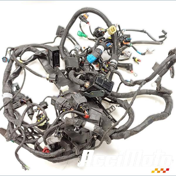 Pièce Moto Faisceau électrique (principal) APRILIA TUONO 1100