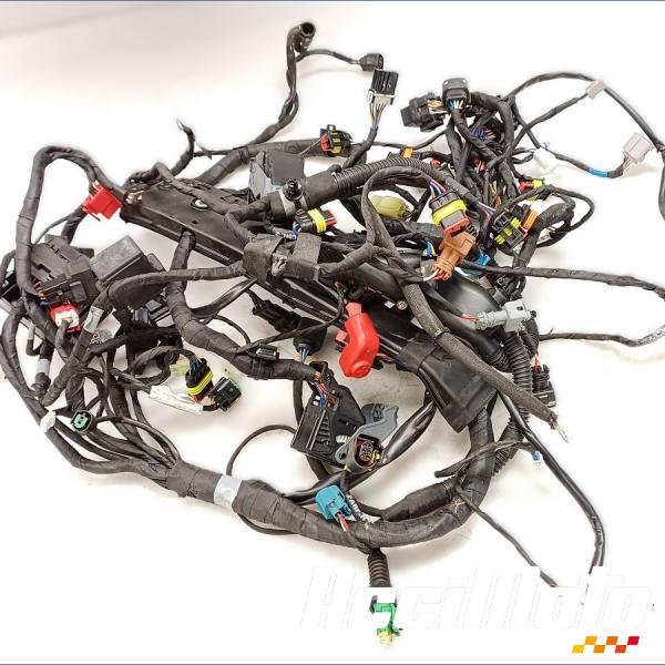 Pièce Moto Faisceau électrique (principal) APRILIA TUONO 1100