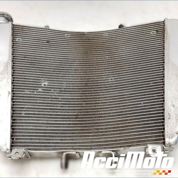Pièce Moto Radiateur de refroidissement APRILIA TUONO 1100
