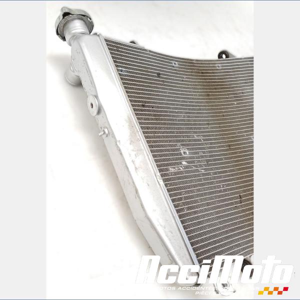 Pièce Moto Radiateur de refroidissement APRILIA TUONO 1100