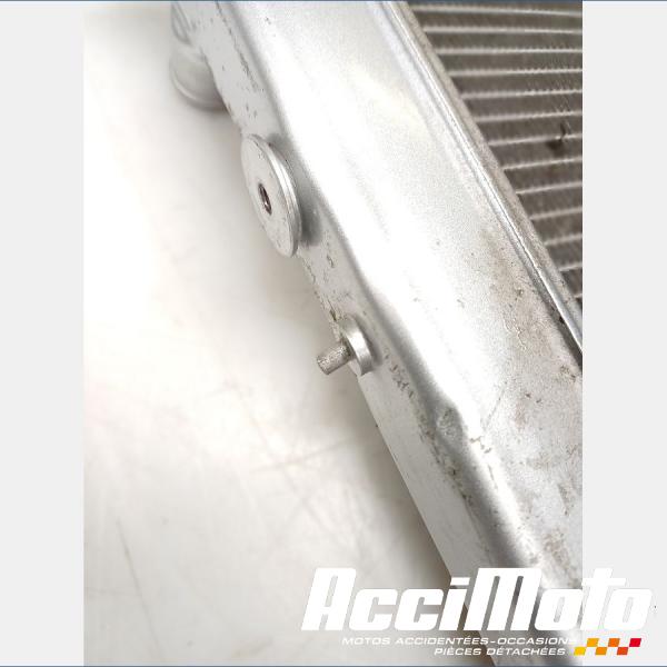 Pièce Moto Radiateur de refroidissement APRILIA TUONO 1100