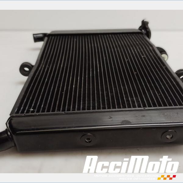 Pièce Moto Radiateur de refroidissement YAMAHA MT-09