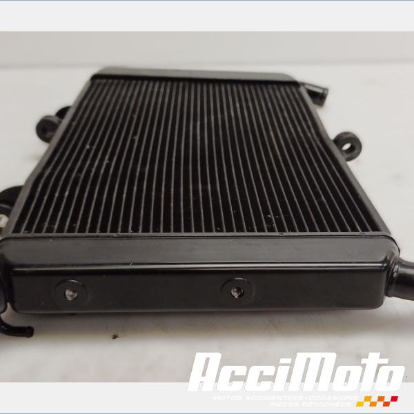 Pièce Moto Radiateur de refroidissement YAMAHA MT-09