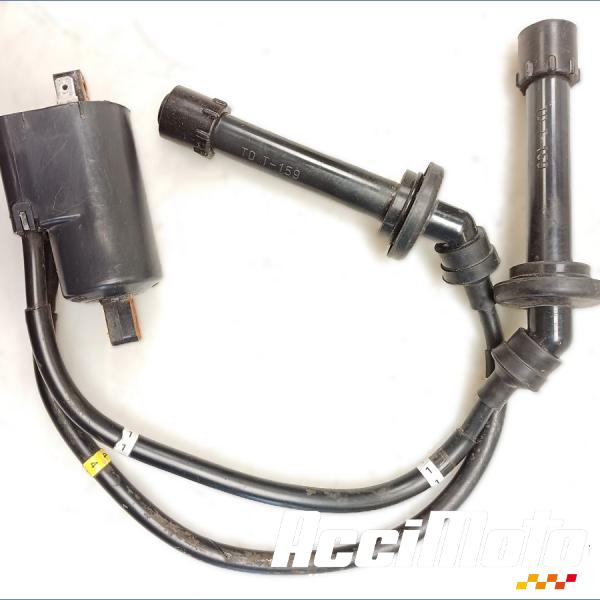 Pièce Moto Bobine d'allumage (1/4) YAMAHA FZ6 N