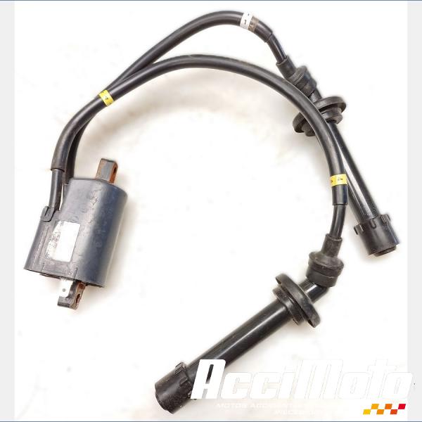 Pièce Moto Bobine d'allumage (1/4) YAMAHA FZ6 N