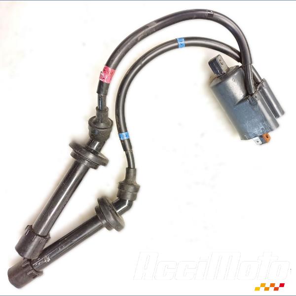 Pièce Moto Bobine d'allumage (2/3) YAMAHA FZ6 N