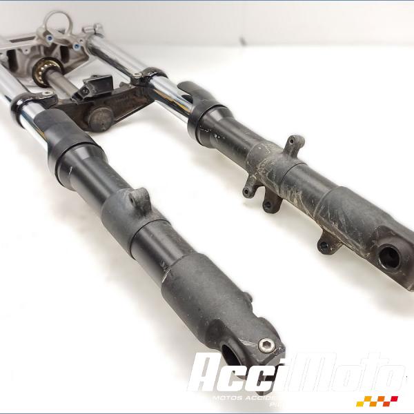 Pièce Moto Fourche complète YAMAHA FZ6 N
