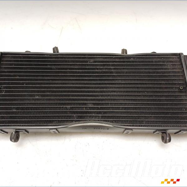 Pièce Moto Radiateur de refroidissement APRILIA TUONO RSV1000