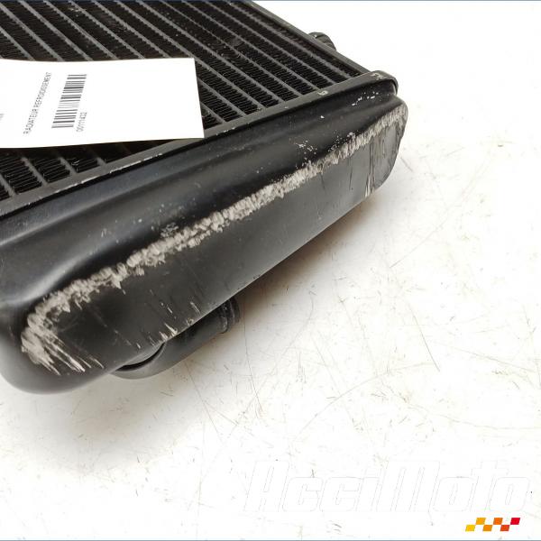 Pièce Moto Radiateur de refroidissement APRILIA TUONO RSV1000