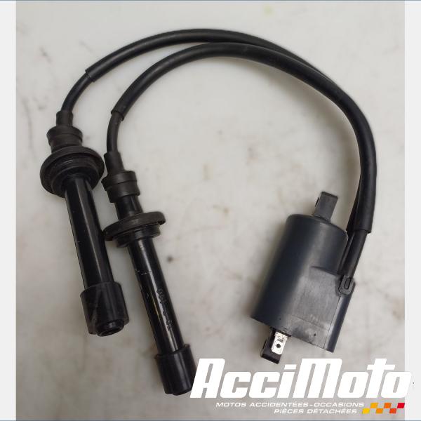 Part Motor bike Bobine d'allumage YAMAHA TMAX XP530