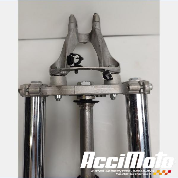 Part Motor bike Fourche complète YAMAHA TMAX XP530