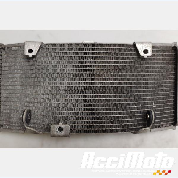 Pièce Moto Radiateur de refroidissement YAMAHA TMAX XP530