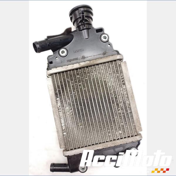 Pièce Moto Radiateur de refroidissement HONDA FORZA NSS125