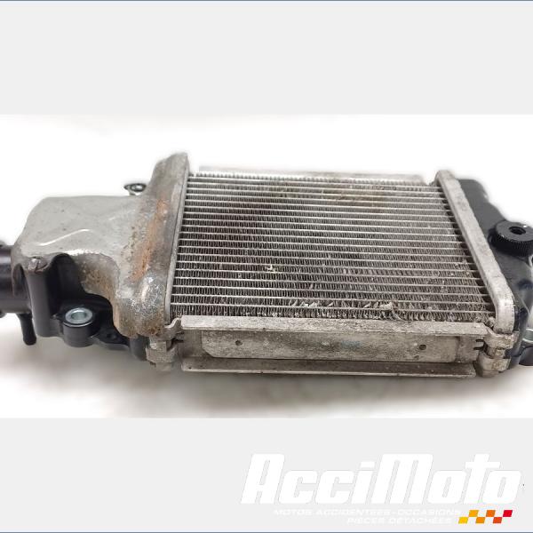 Pièce Moto Radiateur de refroidissement HONDA FORZA NSS125