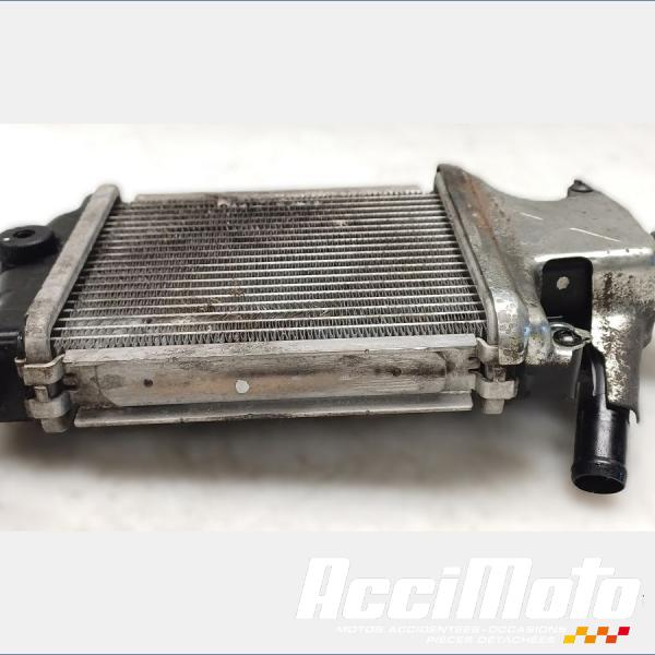 Pièce Moto Radiateur de refroidissement HONDA FORZA NSS125