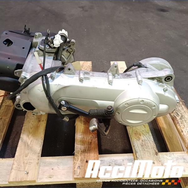 Part Motor bike Moteur PIAGGIO TYPHOON 50